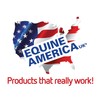 Equine America MSM Powder | Premium Ready To Use Horse