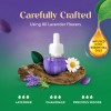 Air Wick Plug in Scented Oil Refill, Air Freshener, Lavender