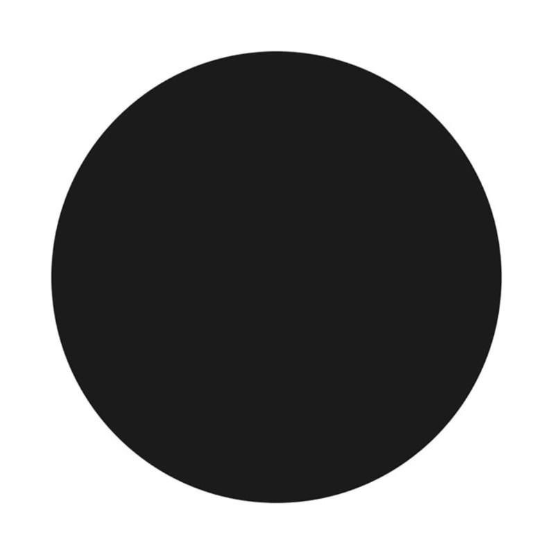 Magnetic Paint, black, 250ml