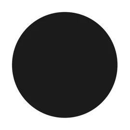 Magnetic Paint, black, 250ml
