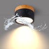 Temgin Ceiling Light Surface-Mounted LED 12 W IP65 Ceiling Spotlights