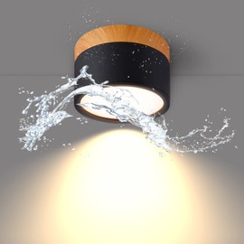 Temgin Ceiling Light Surface-Mounted LED 12 W IP65 Ceiling Spotlights 3000 K Aluminium Surface-Mounted Light Spotlight Black Matt Ceiling Light Spotlights Warm White Diameter 11 cm for Bathroom