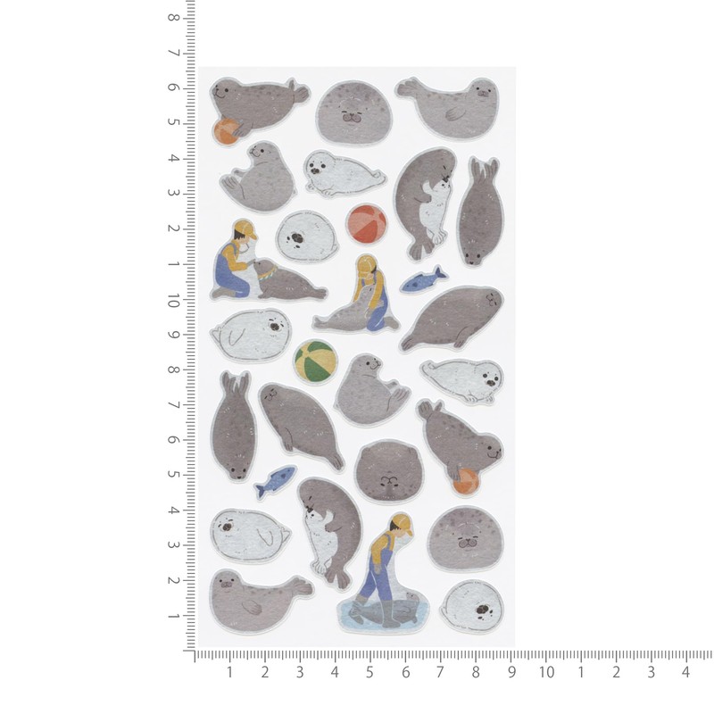 Zoom-in Animal Seal Large [Seal] Cute Animal 5424107