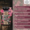 Frauenflora Intimate Flora Complex with 200 Billion CFU/g - Important: