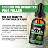 2 Pack Pine Pollen Tincture - Organic Pine Pollen Powder