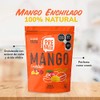 GRUPO PREMIER Mango enchilado con base de mango deshidratado Premier