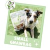 Nature Gnaws Variety Pack for Small Dogs (12 Count) -