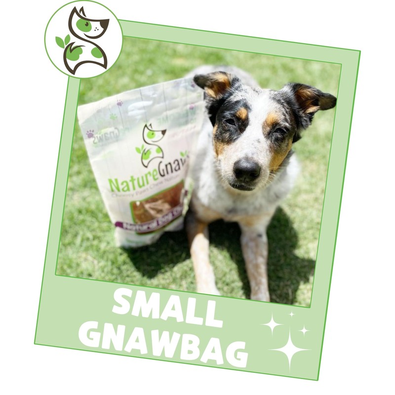 Nature Gnaws Variety Pack for Small Dogs (12 Count) -