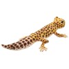 BH8140 HANSA Leopard Lizard 26
