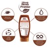 Garnier Ultimate Blends Coconut Oil Frizzy Hair Conditioner, 360ml