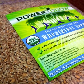 PowerGrow Systems Wheat Grass / Cat Grass Seeds ~ Certified USDA Organic Amounts up to 50 LBS BULK - 2,000