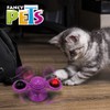 Fancy Pets Juguete Play Spinner con Catnip para Gato