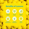Lemon Perfect Peach, Hydrating Flavored Lemon Water, Zero Sugar, Delicious