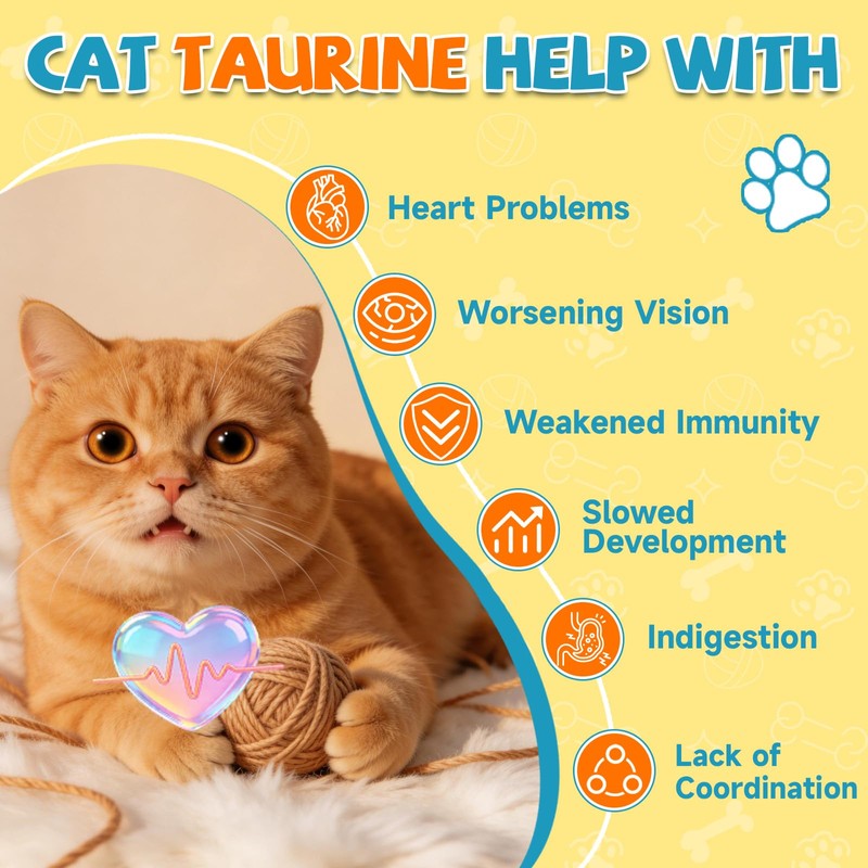 Taurine Powder for Cats Taurine, Feline Heart Vision, Energy Vitality