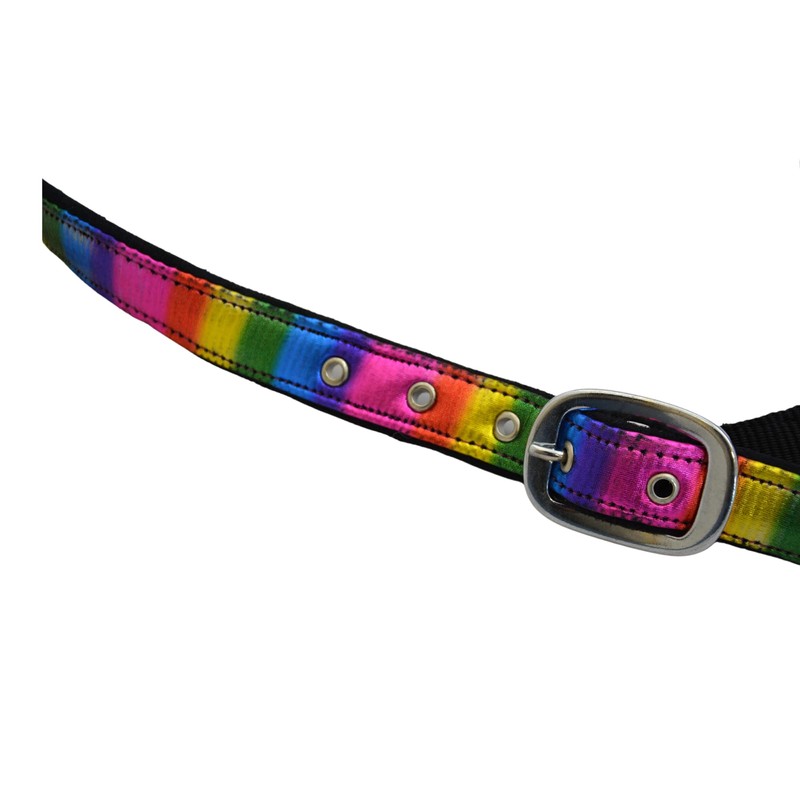 Start RainbowCloth Lined Headcollar for Horses, Adjustable Headcollar in Rainbow