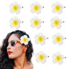 AWOCAN 10PCS Women Hawaiian Flower Hair Clips White Plumeria Flower
