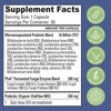 Essential Source TriActive Biotics Advanced Care - 20 Billion CFU