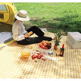 Dusenly Disposable Picnic Mat Waterproof Foldable Blankets Gingham Picnic Mats for Beach Camping Grass Lawn Park with 4 Ground Nails