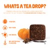 Tea Drops 30 Bulk Pack Organic Pumpkin Spice Bagless Tea