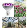 Plant Lamp Bulb Full Spectrum 50W E27 Base 78 Beads