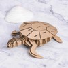 Graine Créative 3D Cardboard Model to Assemble - Turtle