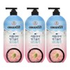 Organist Himalayan Pink Salt Body Wash Mint Scent 900ml 3-pack / 오가니스트 히말라야 핑크솔트 바디워시 민트향 900ml 3개