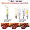 LiteHistory E12 led Bulb Dimmable 4W Equal 40W led Candelabra