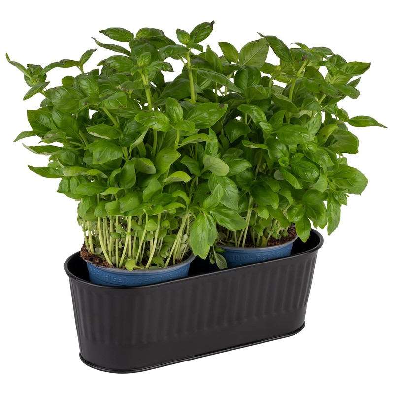 APS 11754 Cutlery Container/Basket, Bread Basket, Plant Basket, 29.5 x