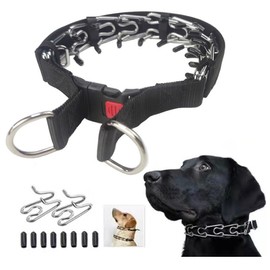 Dog Training Collar, Stainless Steel with Soft Rubber Cap, Adjustable with Quick Release Buckle，4.0mm*60cm (L)