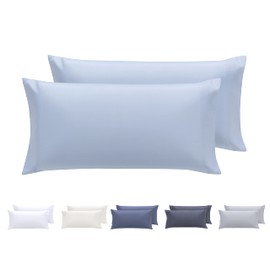 Todocama Set of 2 Extra Soft Hypoallergenic Microfiber Pillow Covers Light Blue