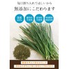 Health & Wild Grass Tea Center, Matsuba Tea Pack, 0.07