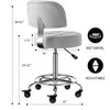 CoVibrant Lockable Stool with Back and Foot Rest Ergonomic Rolling