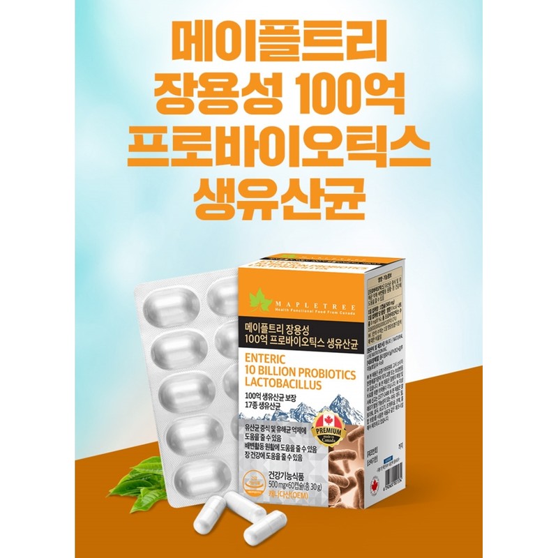 Large intestine lactic acid bacteria Bifidus lactic acid bacteria that