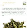 Lemon Verbena Organic Herbal Tea - Handpicked Cedron from Greece