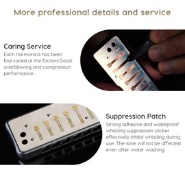 Blues Harmonica JDR A Harmonica Key of A 10 Holes 20 Tones Harps for Adults Kids Professional Beginners Mini Mouth Organ with Case | Assassin