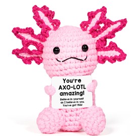 AICase Positive Crochet Axolotl Animals Emotional Supporting Mothers Day Gifts Inspirational Knitted Unique Small Ideas Decor Birthday Gifts for Women Men Her Him Sister Mom Dad Girls Boys Fans