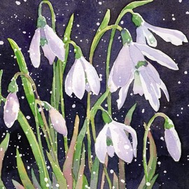 Pack of 6 Charity Christmas Cards (MED-CHMT0043) - Snowdrops - 6 Stunning Artistic Christmas Cards From Medici - Sold in Aid of Marie Curie