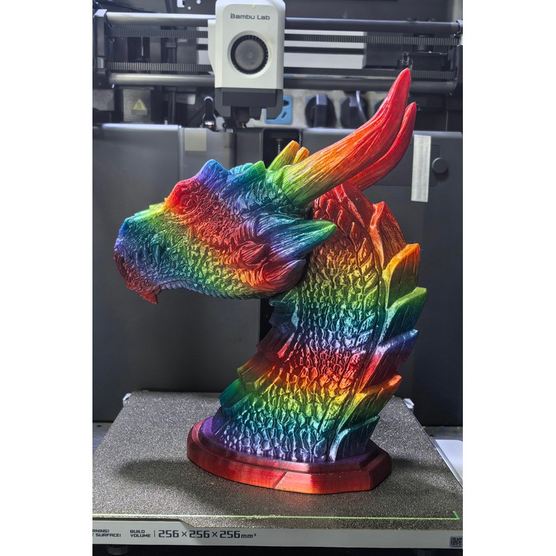 Stronghero3D PETG 3D Printer Filament 1.75mm,Multicolors,Translucent Rainbow,1kg(2.2lbs) Accuracy +/-0.05mm for