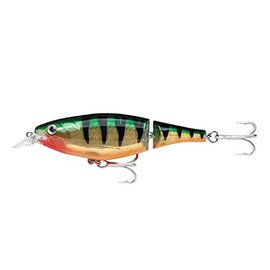 Rapala X-Rap Jointed Shad 13 Fishing lure (Perch, Size- 5.25)