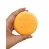 Premium Synthetic Art Crafts Sponges - 6pc Value Pack for