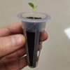 POMRUF B53009 (24) Hydroponics Sponge (Type 1) Mesh Pots 24