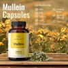 HERBAMAMA Mullein Leaf Capsules Respiratory Health - Organic Mullein Leaf