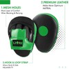 Lions Target Focus Pads - Martial Arts Punching Training Hand