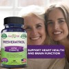 Balincer Organic Resveratrol capsules-Suppo
