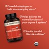 Dr. Mercola Dr. Mercola Organic Ashwagandha, 90 Servings (180 Capsules),