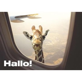 Pack of 3: Modern Times + + + Hello Post Card A6 + + + FUN GIRAFFE + + + Art & Image