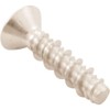 Pentair Water Pool and Spa 630056 Screw Kit Hole for