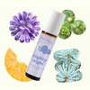 Plant Therapy Essential Oil Roll-On Blend - Nighty Night, 10ml