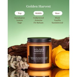 M&SENSE Eucalyptus & Fir Balsam Scented Candle Highly Scented Candle, 100% Natural Soy Wax Candle Cotton Wick 7.05oz 50 Hours Slow Burning Candle Gifts for Birthday Holiday, Decorative Candle for Home