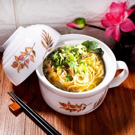 Whitenesser Ceramic Instant Noodle Bowl with Lid - 24oz (700ml) Large Soup Bowl Set, 10oz (300ml) Lid Doubles as Side Dish Bowl - Hand-Painted Botanical Porcelain for Oatmeal, Stew, Microwave Safe